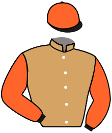 Casaque n°3