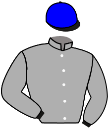 Casaque n°11