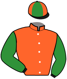 Casaque n°4