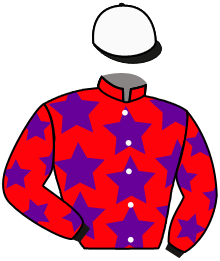 Casaque n°6