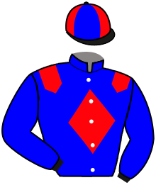 Casaque n°5