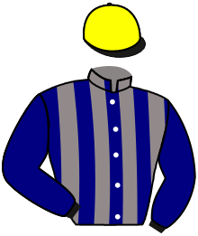 Casaque n°2