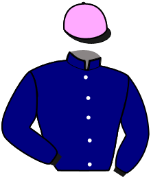 Casaque n°10
