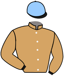 Casaque n°12