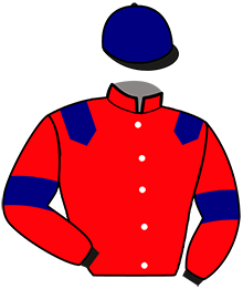 Casaque n°4