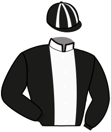 Casaque n°6