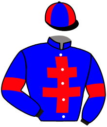 Casaque n°8