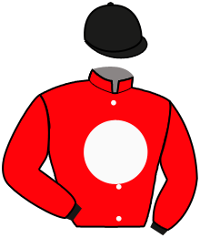 Casaque n°1