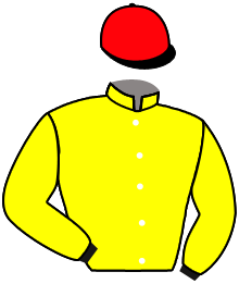 Casaque n°3