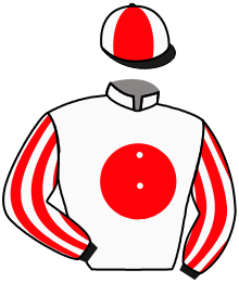 Casaque n°4