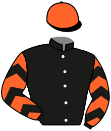 Casaque n°2