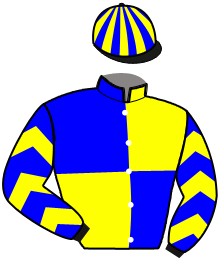 Casaque n°3