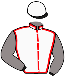 Casaque n°4
