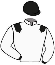 Casaque n°10