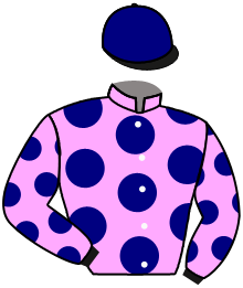 Casaque n°6