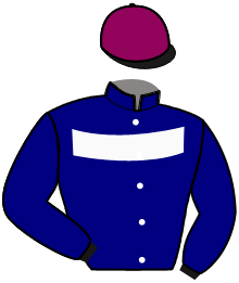 Casaque n°12