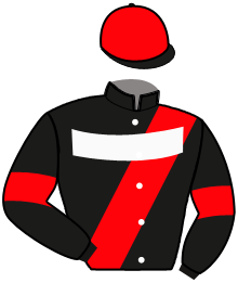 Casaque n°13