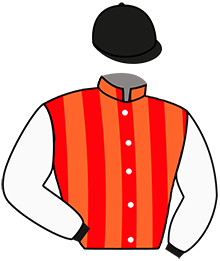 Casaque n°12