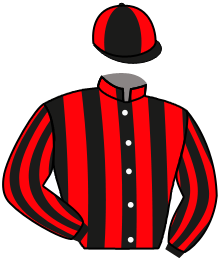 Casaque n°3