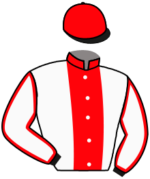Casaque n°10