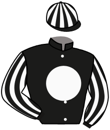 Casaque n°13