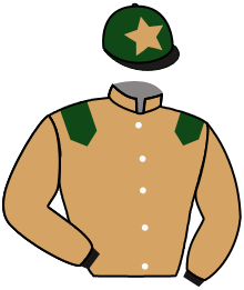 Casaque n°11