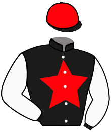 Casaque n°3