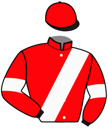 Casaque n°8