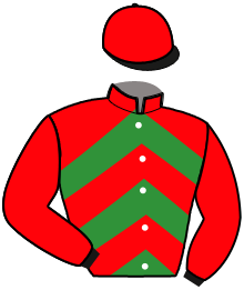 Casaque n°10