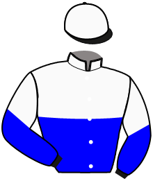 Casaque n°2