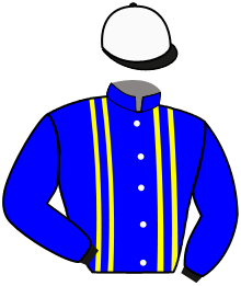 Casaque n°6