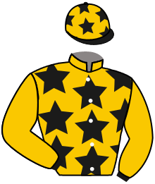 Casaque n°4