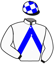 Casaque n°6