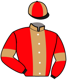 Casaque n°6