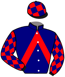 Casaque n°4