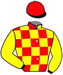 Casaque n°11