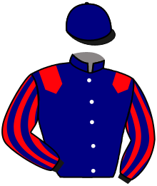 Casaque n°2