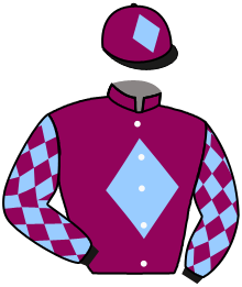 Casaque n°1
