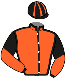 Casaque n°10