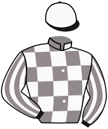 Casaque n°3