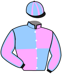 Casaque n°11