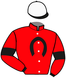 Casaque n°1
