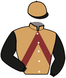 Casaque n°12