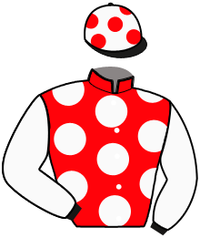 Casaque n°5