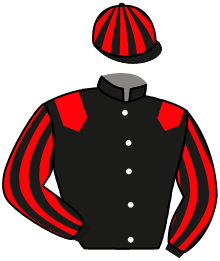 Casaque n°2