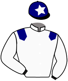 Casaque n°3