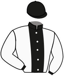 Casaque n°2