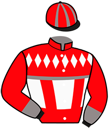 Casaque n°2