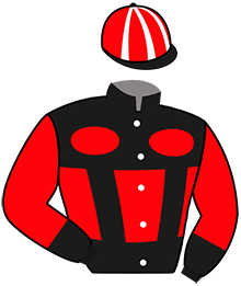 Casaque n°9
