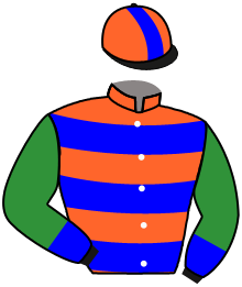 Casaque n°1